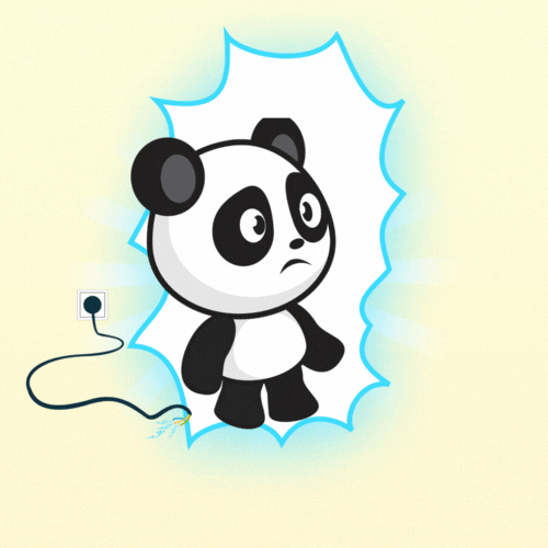 panda near open electricity