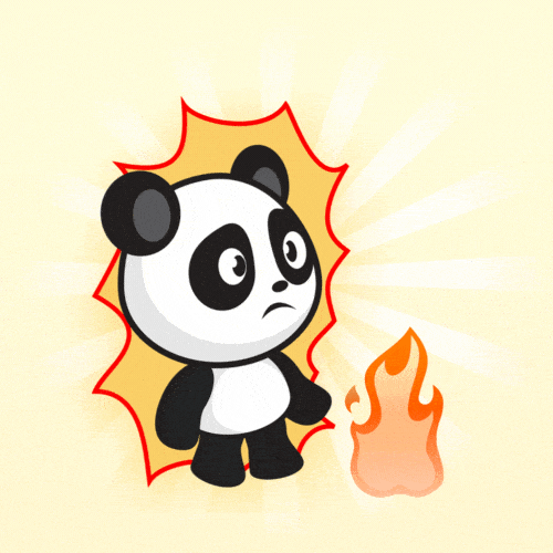 panda near fire